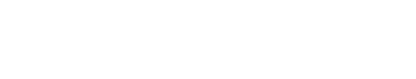 The Model Standard